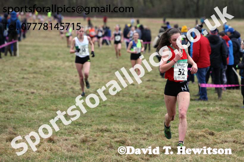 Womens under-17s 2018 Northern Cross Country Champs., Harewood House, Leeds. Photo: David T. Hewitson/Sports for All Pics